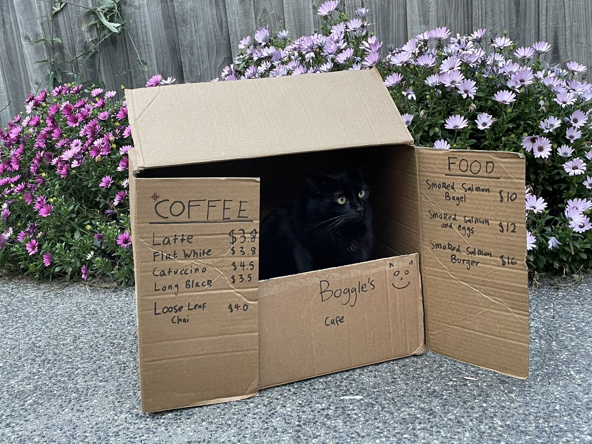 cats with jobs 🛠 tweet media