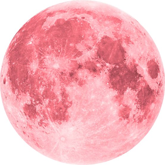 People don't even know about <a href="/pinkonomic/">$PINK</a>

If <a href="/Polkadot/">Polkadot</a> ever simplifies onboarding so you don't need a computing degree to enter the ecosystem...... well, $PINK's destination is programmed 🚀