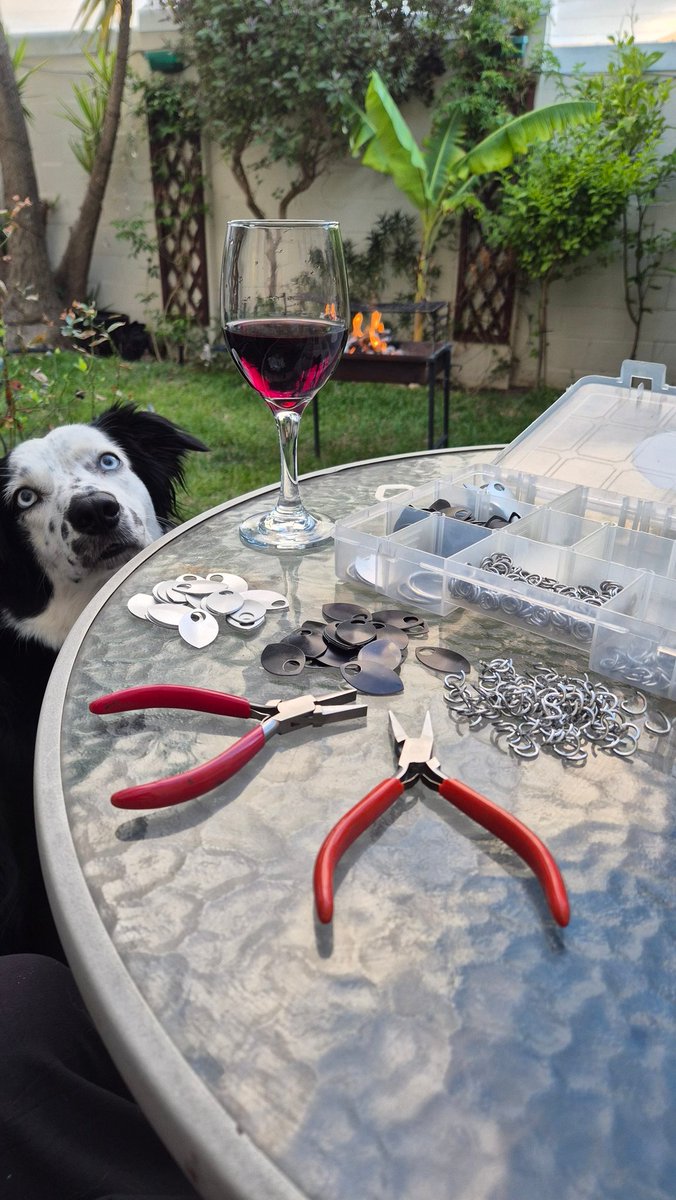 First braai of 2025 whilst making orders 🔥 Maya is supervising 🐕

#braai #2025newyear #chainmaille #chainmail #scalemaille #scalemail #artist #summervibes #bordercollie