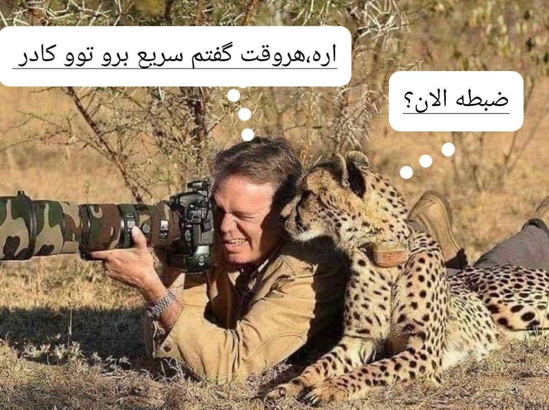 این مستند ها هم از قبل هماهنگ میکنن😐