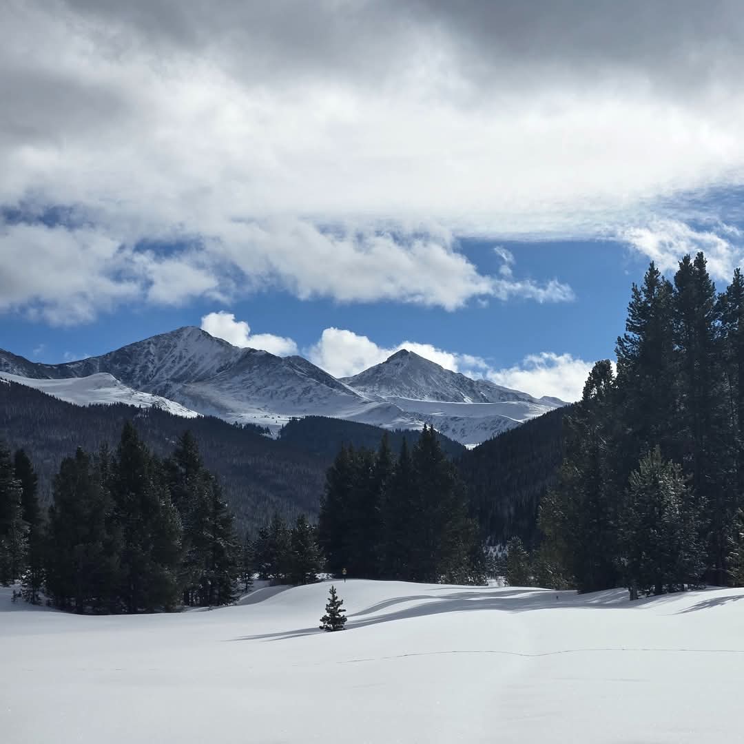 I learned awe from my mom. She could be in awe of a plane taking off, a blue spruce, a cooing baby or even the many shades of green grass. I'm hoping to practice a lot more awe in 2025. And this feels like a good place to start. (Just few more snowshoeing photos!😊)