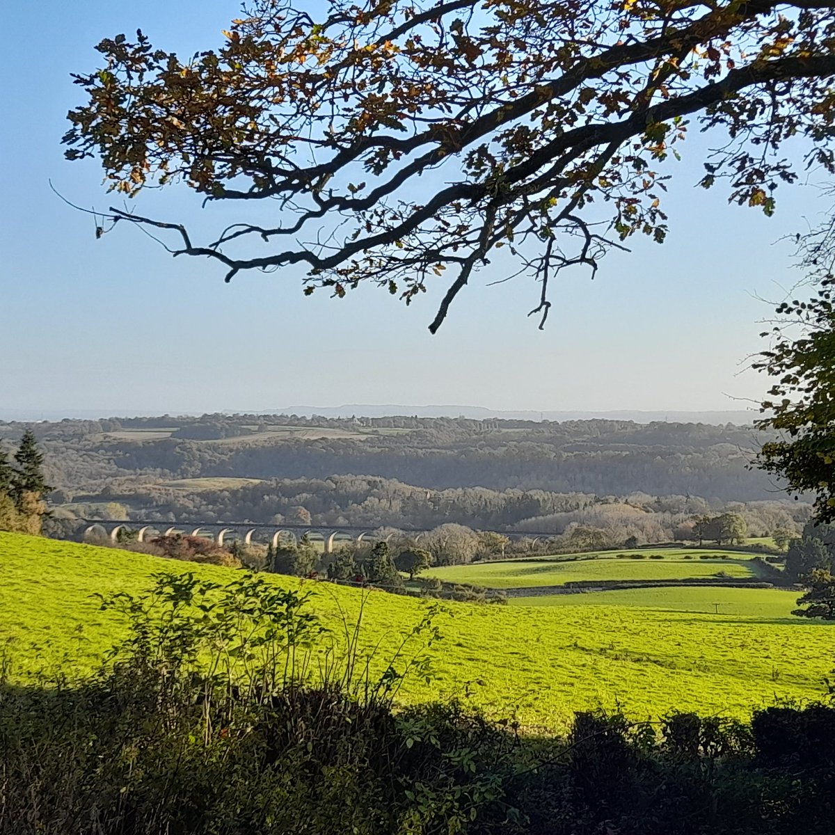 BadgCollins's tweet photo. @Matt_Pinner https://t.co/sp0PpMLSIB