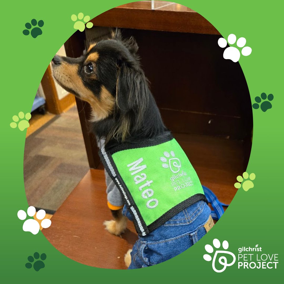 🐾 Meet Mateo! This certified furry ambassador from Gilchrist’s Pet Love Project is here to bring joy and healing to our community. Want to learn more about our Pet Love Project, its benefits, or how to get involved as a volunteer? Visit us at the link in our bio! 💙