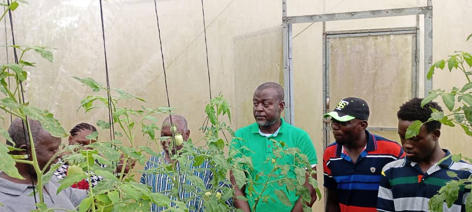 TechsheltaI's tweet image. Our trainees are often amazed when they take a tour of our farms.

We give you an assurance of achieving results after partaking in our trainings.

Our modules are tried and tested.

#TSTI #training #learning #farming #agriculture #greenhousefarming #modules #results