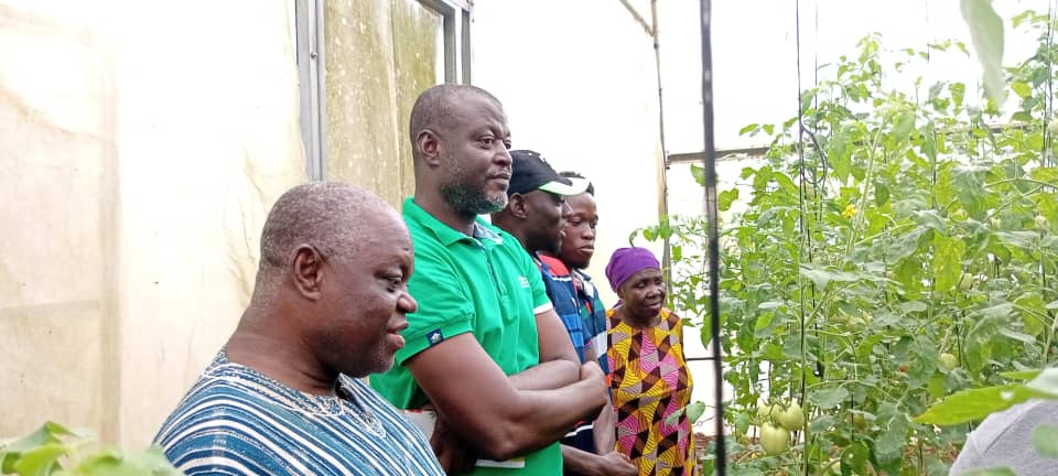 TechsheltaI's tweet image. Our trainees are often amazed when they take a tour of our farms.

We give you an assurance of achieving results after partaking in our trainings.

Our modules are tried and tested.

#TSTI #training #learning #farming #agriculture #greenhousefarming #modules #results