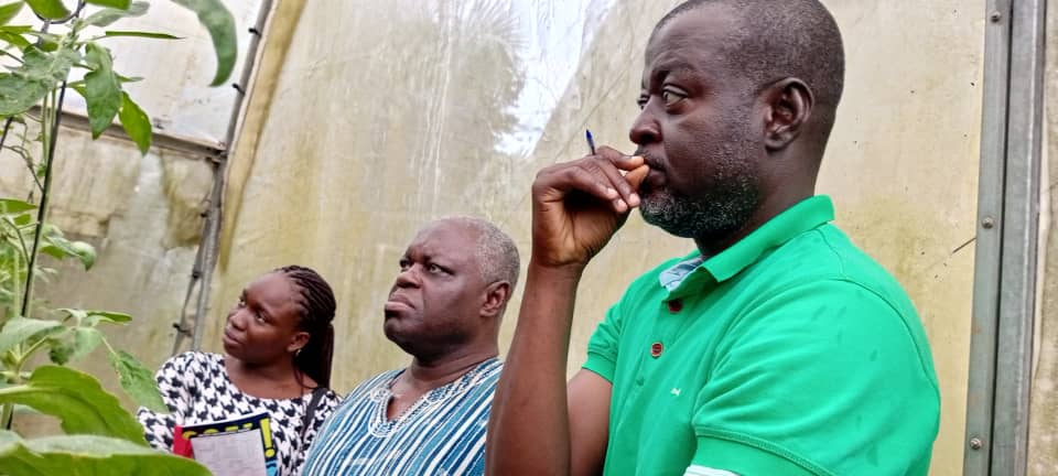 TechsheltaI's tweet image. Our trainees are often amazed when they take a tour of our farms.

We give you an assurance of achieving results after partaking in our trainings.

Our modules are tried and tested.

#TSTI #training #learning #farming #agriculture #greenhousefarming #modules #results