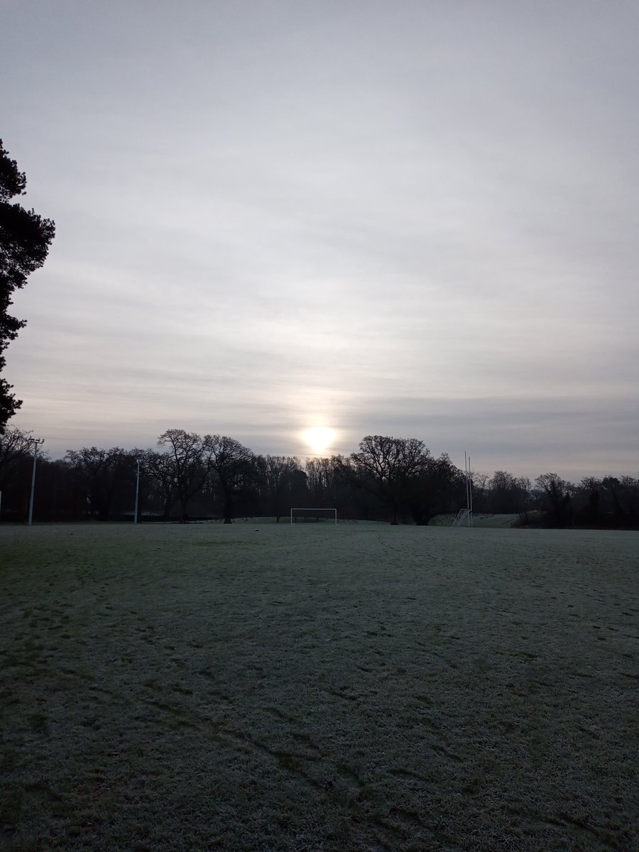 Marian Neill tweet media