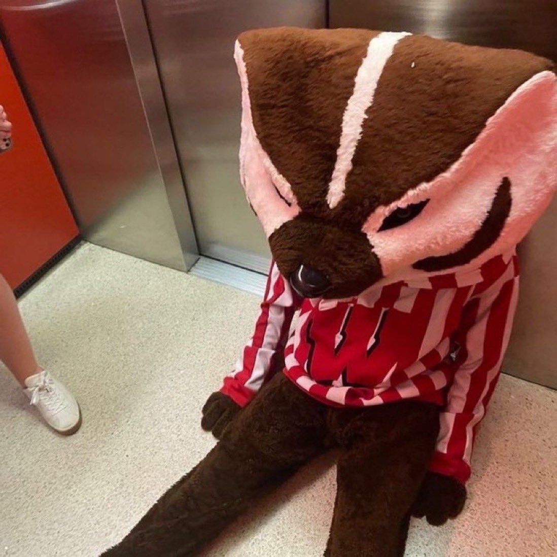 Bowl Recap!!!

#GOPHERS WON ✅
#Hawkeyes Lost ❤️
#Badgers Didn’t Qualify 😂🤣