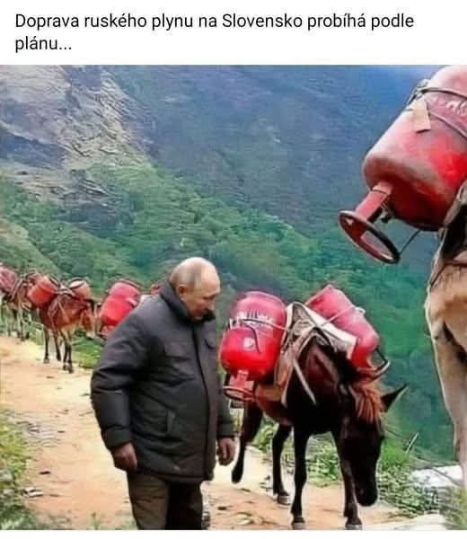 No comment…😀♥️