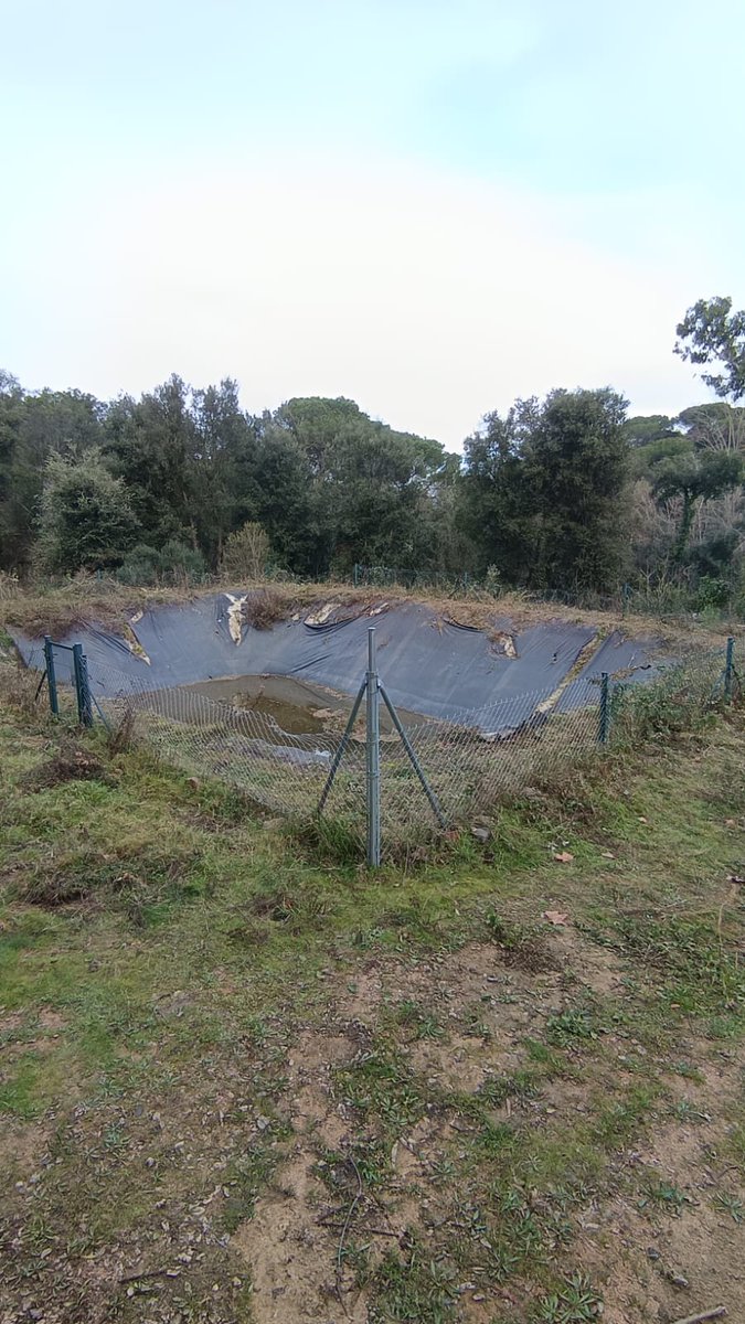 ADF Forestec (Sant Celoni) tweet media