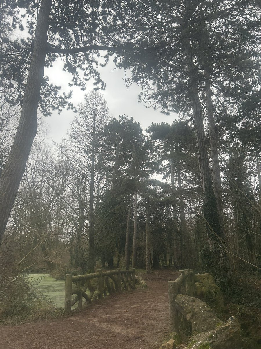 another lovely visit to Paris 🫶🏻 A New Year’s Day walk around the Bois de Vincennes, a visit to Sacré Cœur and seeing the Notre Dame all renovated and beautiful again 🥰