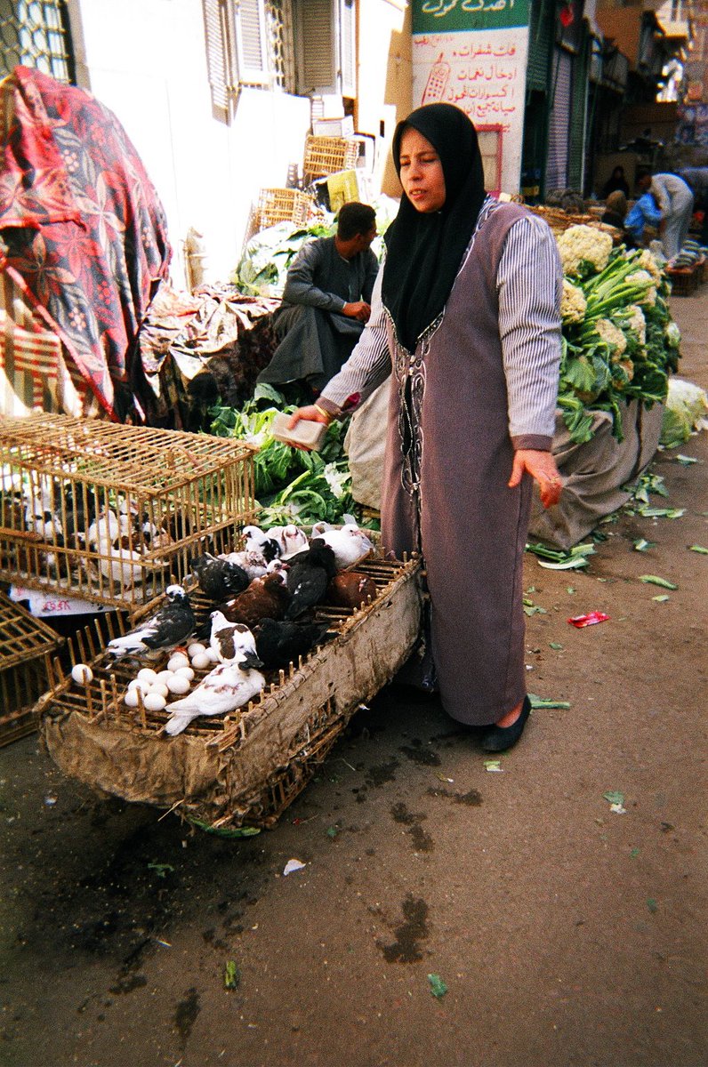AlexBlokPi2539's tweet photo. @OliLondonTV Fair enough. We just use guns in the countryside her in England.  In 2004, in Aswan, this lady ripped the head off a pigeon to spook me just before I took pic. Note blood on her hand! https://t.co/HHfi31hoJD