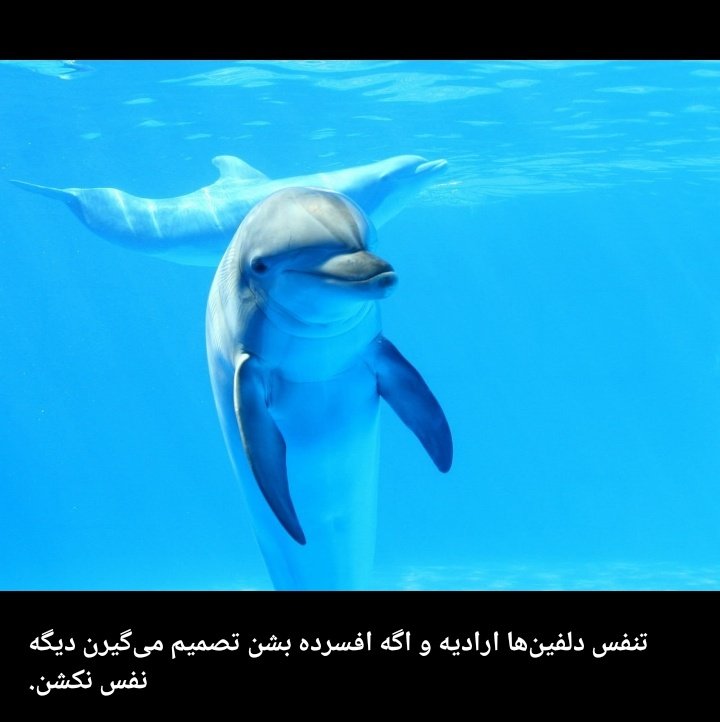 کم غم و غصه دارم حالا باید غصه این موضوع هم بخورم 🫠