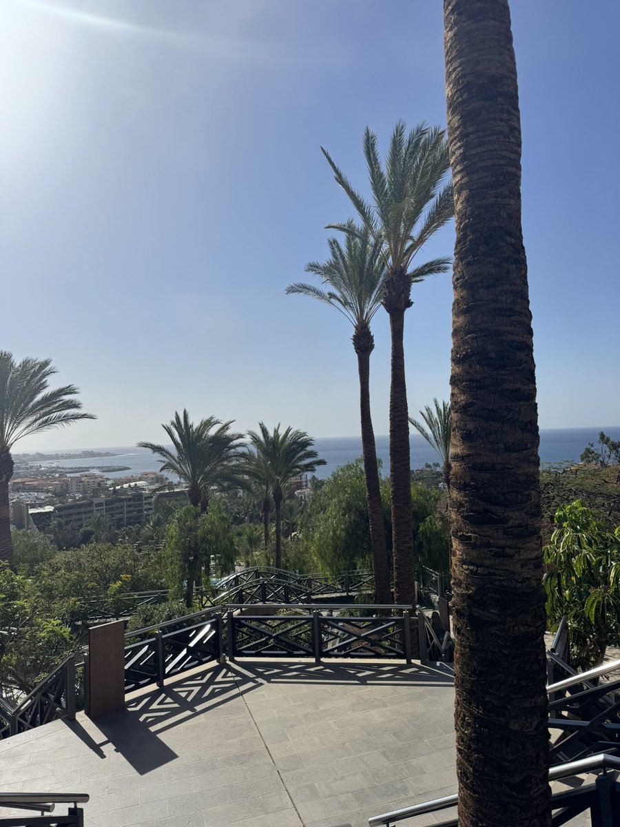 _jorgegallardo's tweet image. Me quedan 24 horas en este paraíso que tenemos en España 
#Tenerife #CostaAdeje