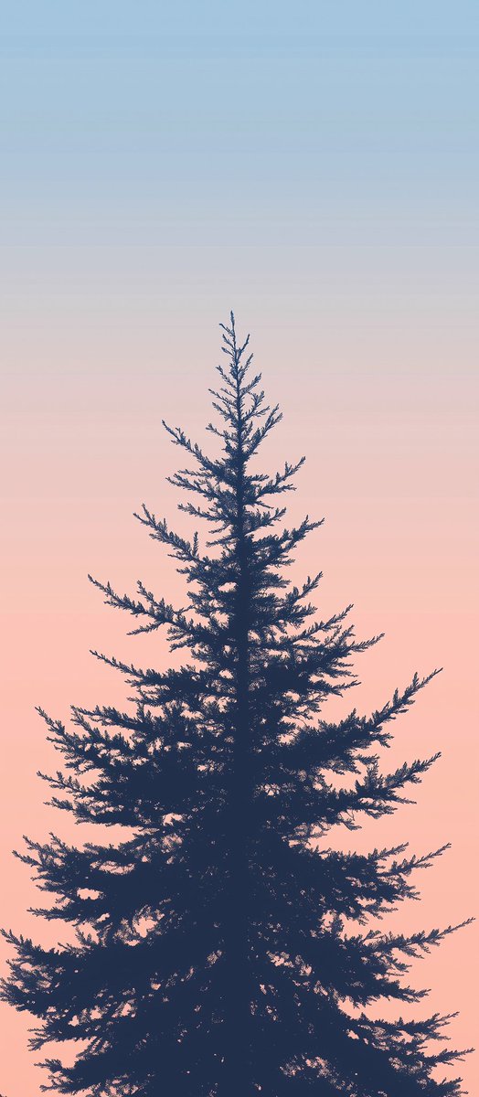 New #wallpaper pack 🙌🏻📲

#wallpapers #4kwallpapers