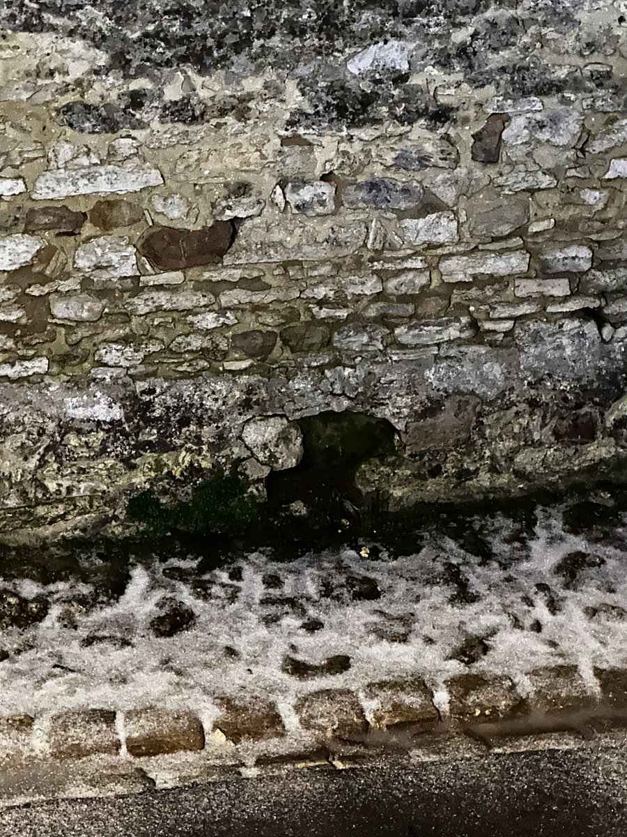 Omerville_Vexin's tweet photo. Verglas sur @Omerville_Vexin
#france #iledefrance #valdoise #vexin #omerville #meteo #meteofrance #verglas https://t.co/wj5ai1IbFk