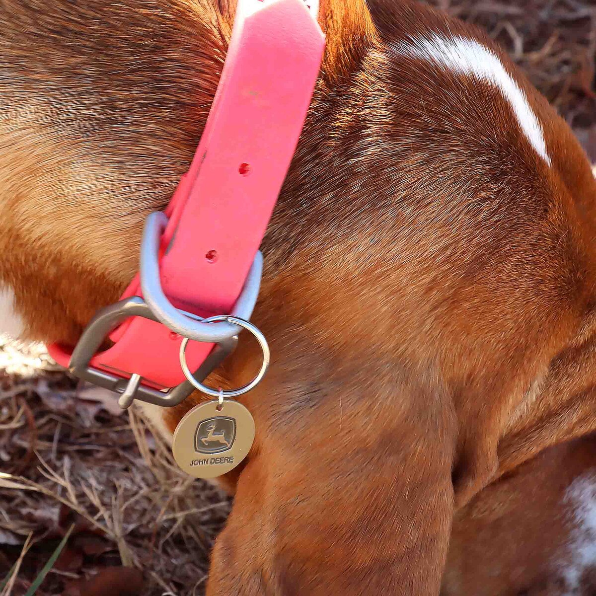 ClassicsPop's tweet image. Give your pet the gift of John Deere style! 🐾 Collars, leashes, and more—just for the country-loving dogs. 🚜🐶 #JohnDeerePets #FarmLife
l8r.it/qig0