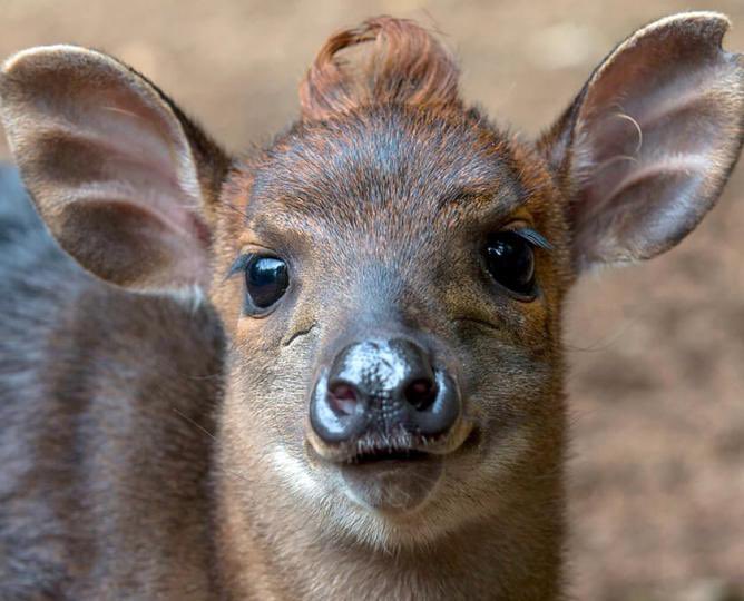 SamHansen_'s tweet image. Her: are you stupid?

Me: