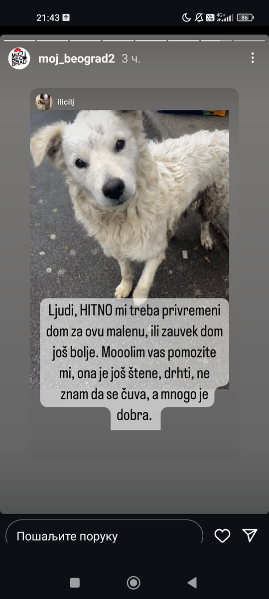 Kristal Met Dejmon (@sanjazivi) on Twitter photo 