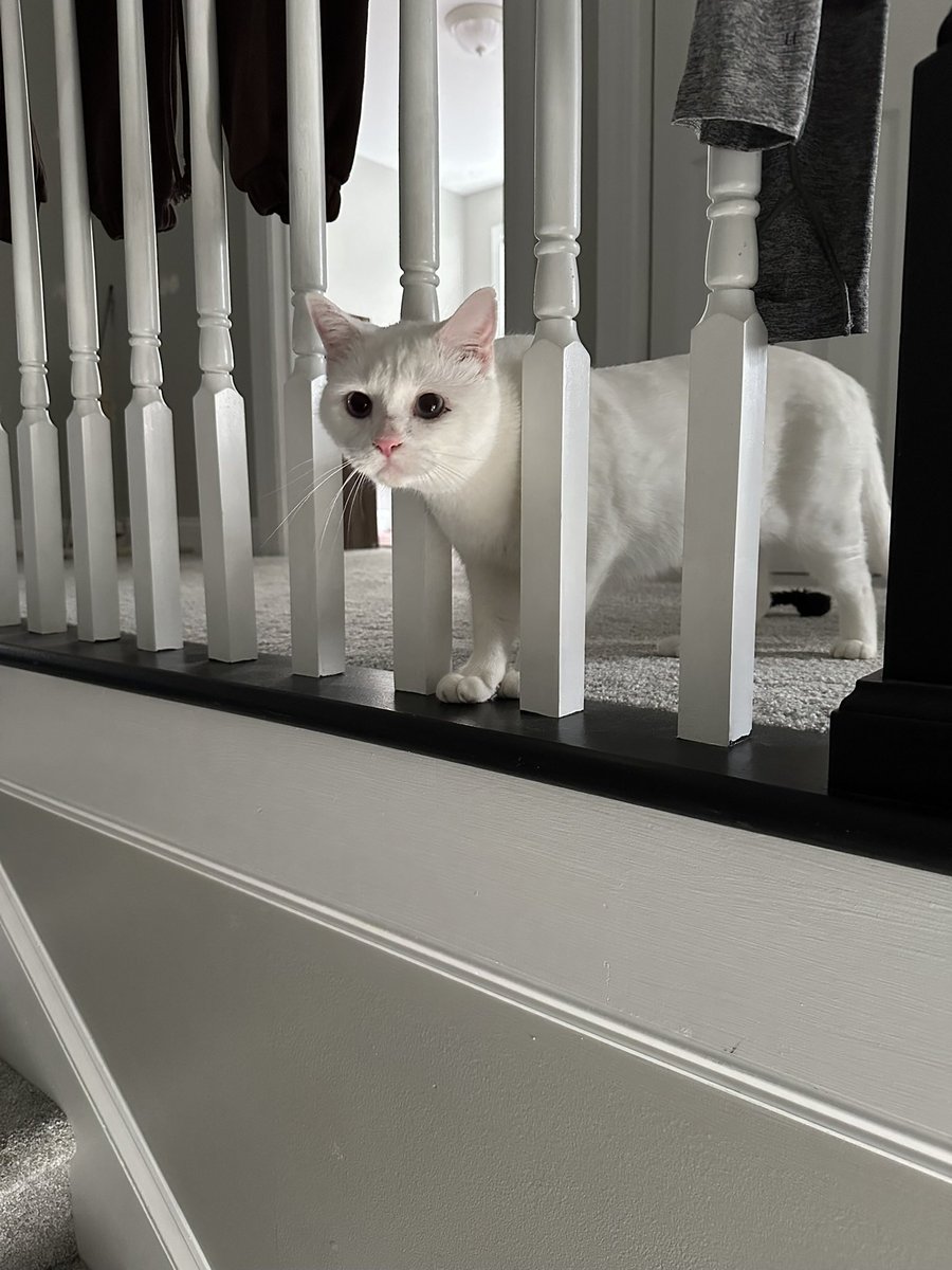 Sprung this little guy out of jail