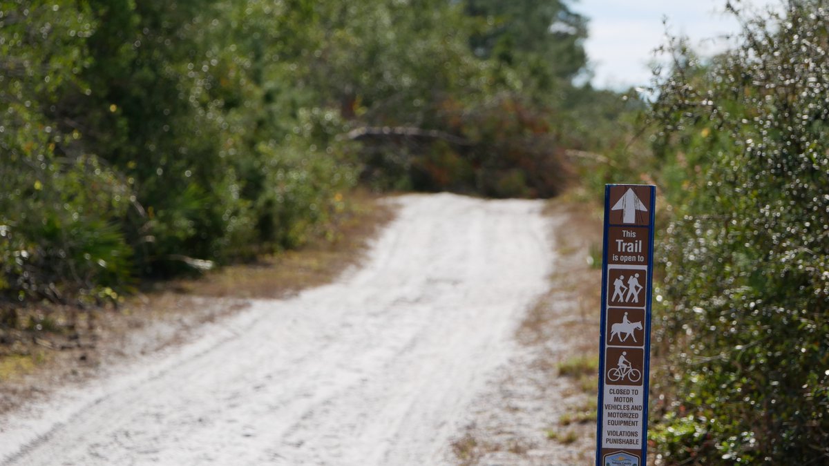 WalkandPaddle tweet media