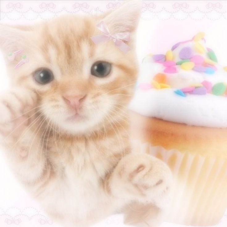 ♡ (@princessybow) on Twitter photo 