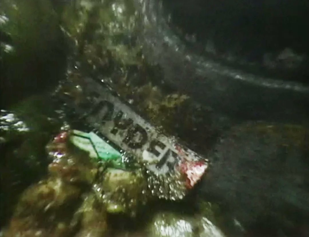 WhosThatGav's tweet image. #nowwatching #DoctorWho #Earthshock 💿📺🌍🤖