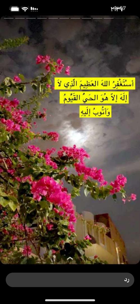 ✍🏻فضلاً قبل نومك
1⃣توضأ🚿
2⃣اقرأ سورة الملك📖
3⃣صل ركعة وتر
4⃣حاسب نفسك
5⃣جدد توبتك
6⃣انفض فراشك ونم ع الشق الأيمن
7⃣اعف عن من ظلمك
8⃣ردد أذكار النوم
9⃣اضبط منبه الفجر
🔟الأستغفار
#الوتر_جنة_القلوب 
#حصة_الواصل