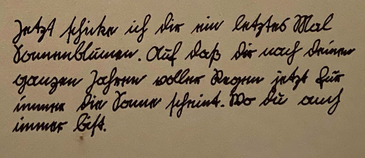 Trundle📯  (@trundle23257306) on Twitter photo 