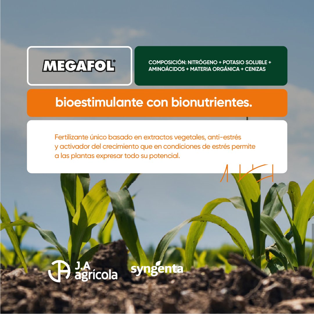 Lo nuevo de <a href="/Syngenta_ar/">Syngenta Argentina</a> para tu cultivo de MAÍZ 🌽 
▶️ MEGAFOL 
> Fertilizante 
> Bioestimulante único basado > A nti-estrés 
> Activador del crecimiento
> Es un biológico para potenciar el rinde 🌽  
📲 🙋🏼 estamos!
#JAAgrícola +25Años
#Megafol #Fertilizante #Biológico #Maíz