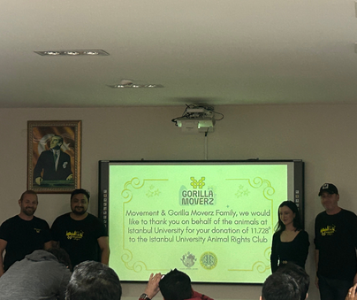 CaptainGorillas's tweet image. Today, we held the largest and most crowded meetup in recent times in Istanbul. Dozens of MOVE enthusiasts came to Istanbul from various cities in Turkey. We talked about both the @movementlabsxyz  ecosystem and @GorillaMoverz  Thank you to everyone who came to Istanbul. We are a…