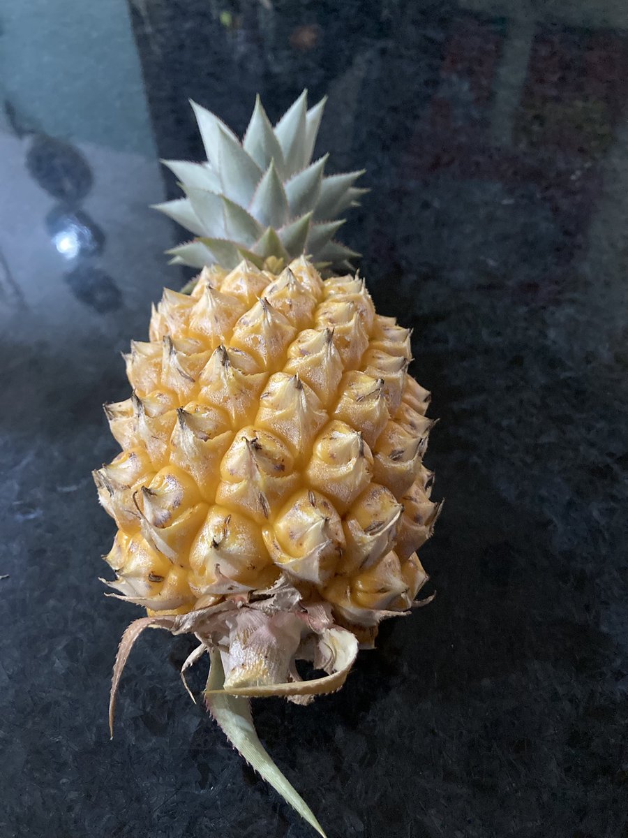 Nat Karmichael tweet media