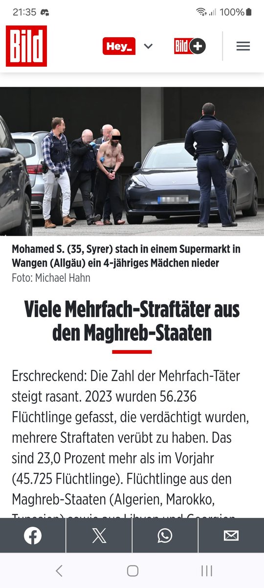 Ellie Bach tweet media