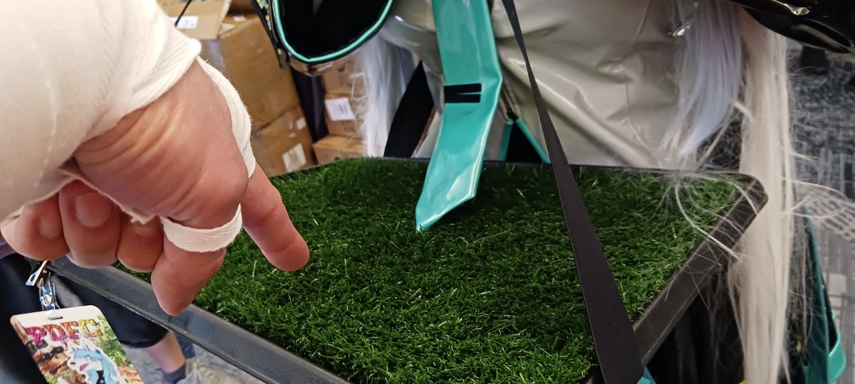 Dat_Killa_Troll's tweet image. The #PDFC2025 grass