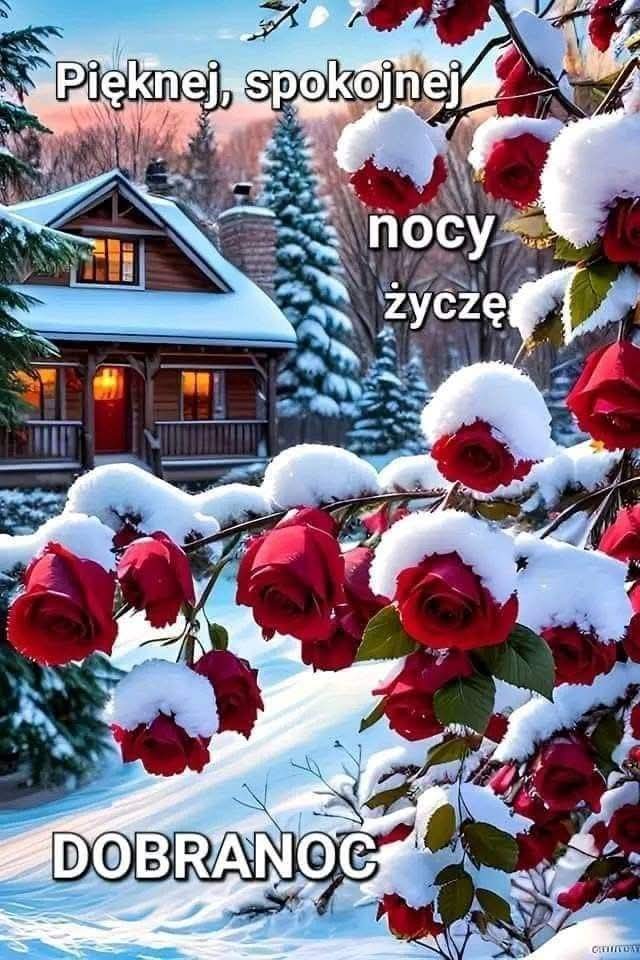 andrzej_rado's tweet photo. @Soka1910 https://t.co/pE26ZNiS8D
