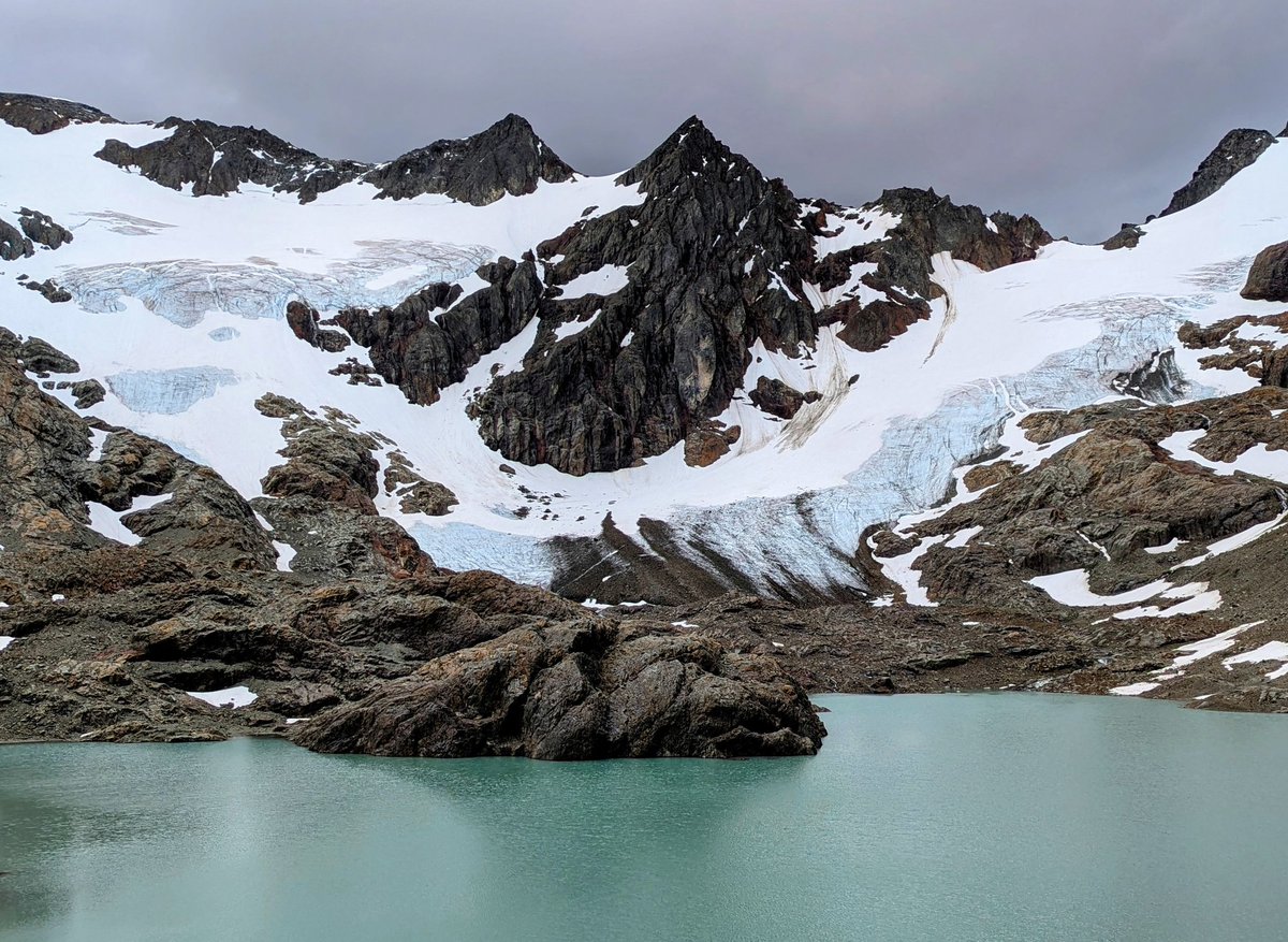 today I walked 8 miles and saw a family of horses next to a river