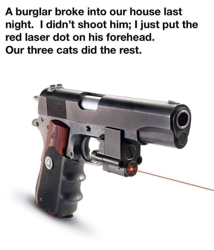 Cats will do it every time...lol.