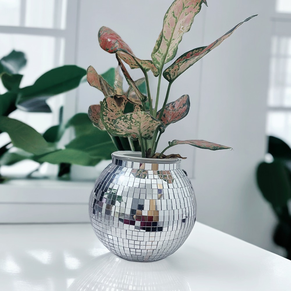 discomfg's tweet image. Bring shine to your desk with our 7-inch Plastic Disco Ball Planter! 🌱✨ Perfect for plants, organizing, or just adding a touch of glam. 🌟

Shop now: mfgdisco.com | Amazon: amazon.com/stores/MFGDISC…
#DiscoBallPlanter #MFGDISCO #HomeDecor #DesktopStyle #PlantLovers #Of