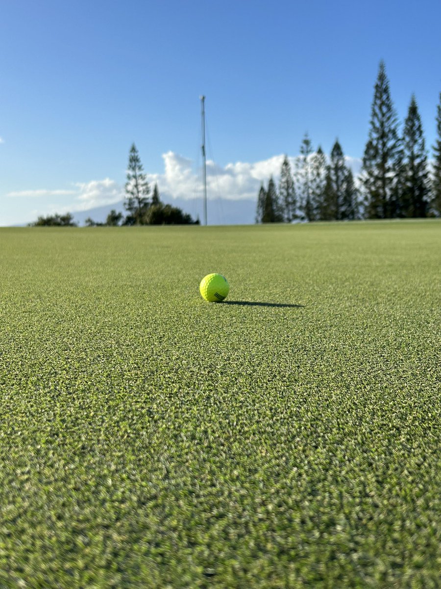 David M Nicholls ๐ฆ๐บ๐บ๐ธ (@davidmnicholls1) on Twitter photo Thanks to our partners in turf for helping us produce incredible conditions this week <a href="/GolfatKapalua/">Kapalua Golf</a> for <a href="/TheSentry/">The Sentry</a> <a href="/Troon/">Troon</a> is proud to work with the best in the business. <a href="/SyngentaTurf/">Syngenta Turf US</a> <a href="/SimplotTurf/">Simplot Turf & Horticulture</a> <a href="/TheToroCompany/">Toro</a> <a href="/EnvuGolfUS/">Envu Golf US</a> <a href="/GreenKeeperApp/">GreenKeeper</a> <a href="/PGATOURAgronomy/">PGA TOUR Agronomy</a> Thanks to our partners in turf for helping us produce incredible conditions this week <a href="/GolfatKapalua/">Kapalua Golf</a> for <a href="/TheSentry/">The Sentry</a> <a href="/Troon/">Troon</a> is proud to work with the best in the business. <a href="/SyngentaTurf/">Syngenta Turf US</a> <a href="/SimplotTurf/">Simplot Turf & Horticulture</a> <a href="/TheToroCompany/">Toro</a> <a href="/EnvuGolfUS/">Envu Golf US</a> <a href="/GreenKeeperApp/">GreenKeeper</a> <a href="/PGATOURAgronomy/">PGA TOUR Agronomy</a>