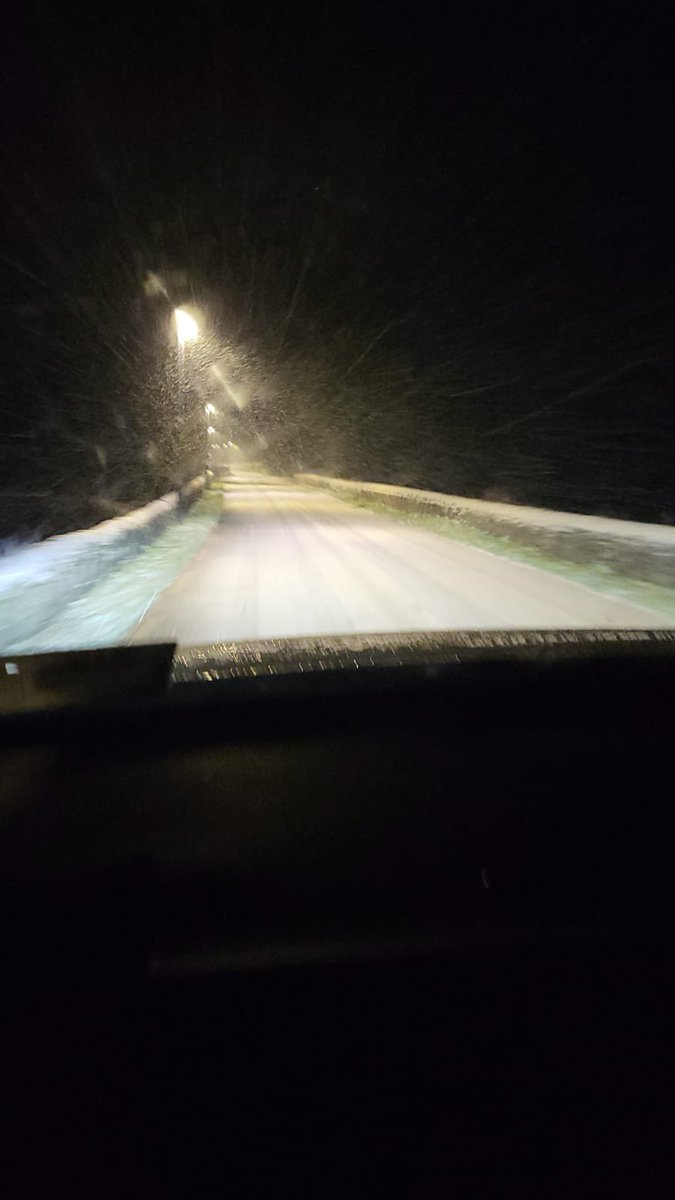 Iseult Mangan tweet media