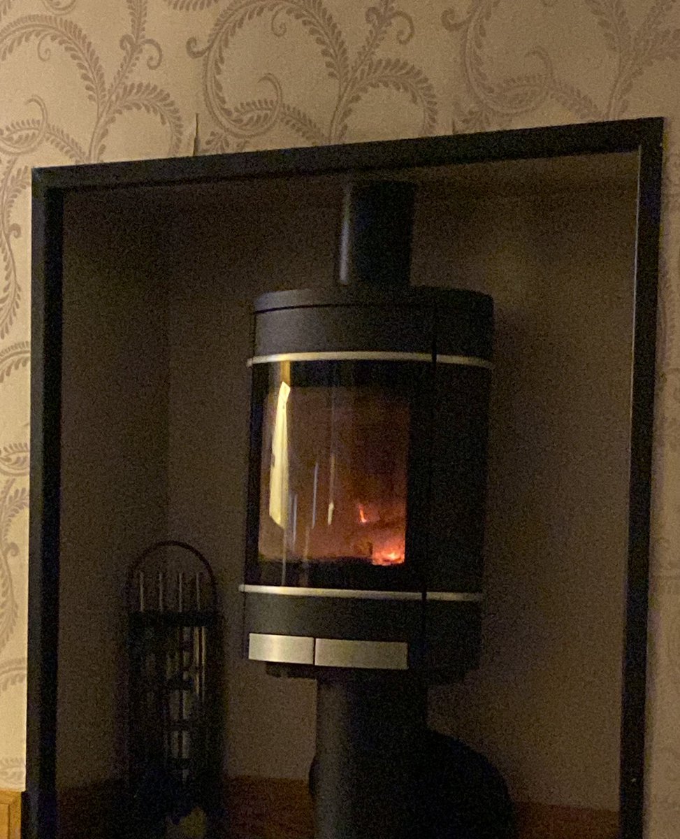 Iseult Mangan tweet media