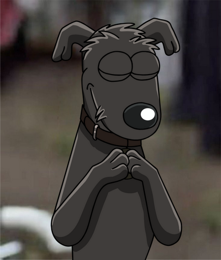 GoodBoy 🐕‍🦺 tweet media