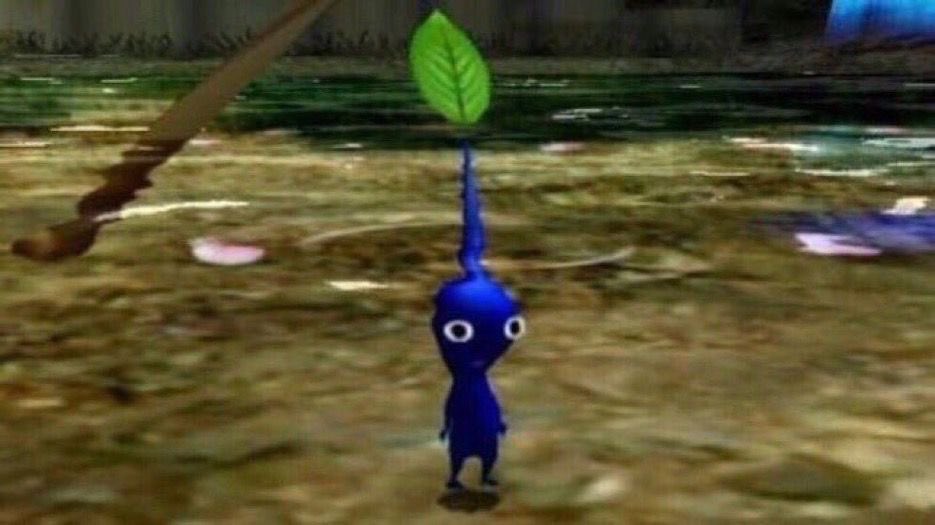 whotfisjovana's tweet image. can i come over and stare at you like this