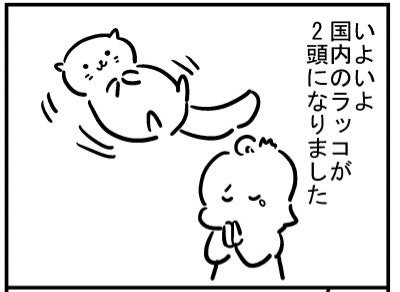 ブログ更新!「ラッコが2頭になった」https://t.co/OVmw4V227H 