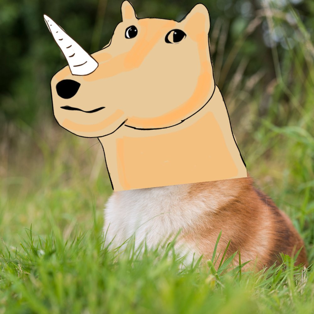 satoshipanza's tweet photo. @ogpaptX2 I believe they're real. This is something that I found in reddit. The person who posted this says he took the photo in wilderness yesterday. Might be true. Big if true. 

#dogicorn https://t.co/atCOiP0uJ6