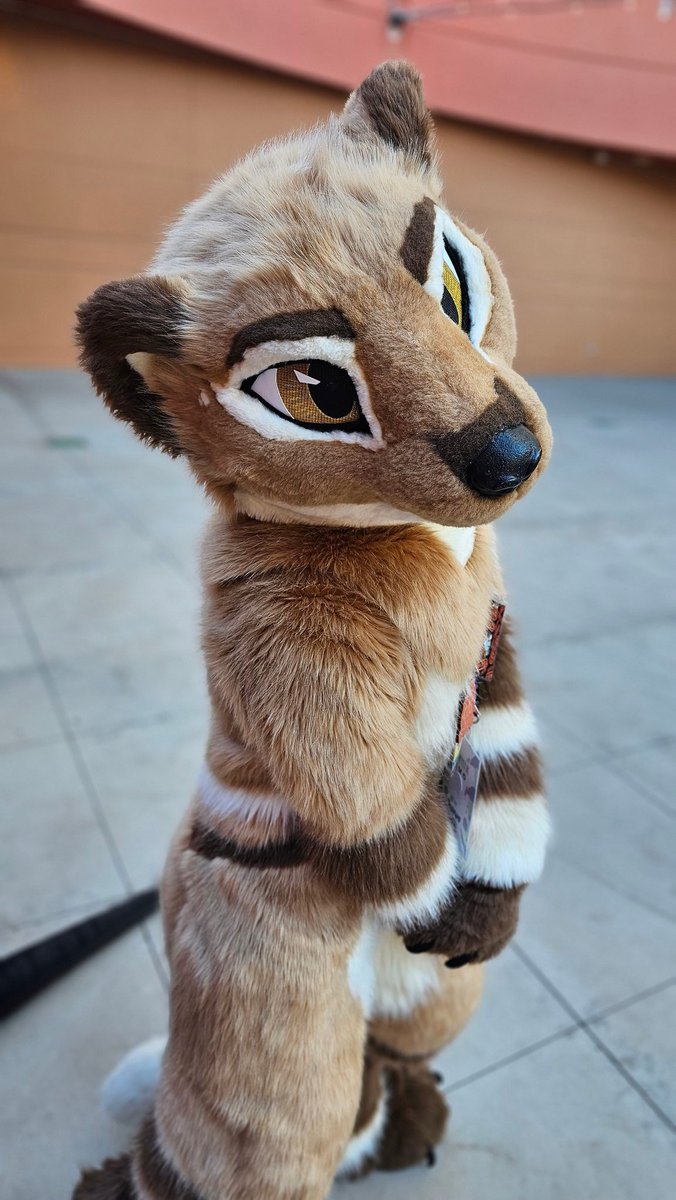 FurryChi's tweet image. Look at this @Kippefir 💛 
#PDFC2025