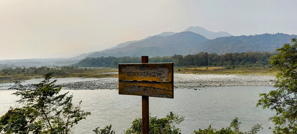 dibarijit's tweet photo. Savour the wild with a cultural touch—Assamese breakfast, village charm, and wilderness in every sense. Manas is an adventure for the soul.
https://t.co/mHZCrTbaqO
#ManasNationalPark #NatureLovers #MothanguriMagic #BodoCulture #TraditionalBreakfast #ExploreTheUnexplored #Assam https://t.co/YstzWaKIiJ