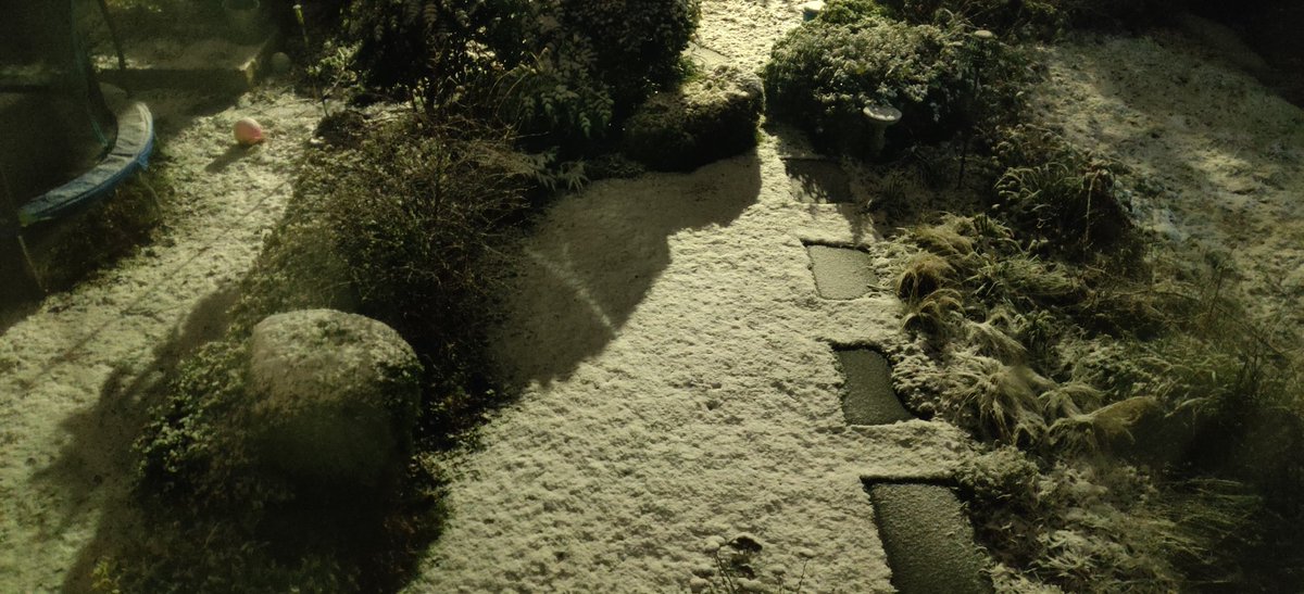 2:50 am #snow in #leicester