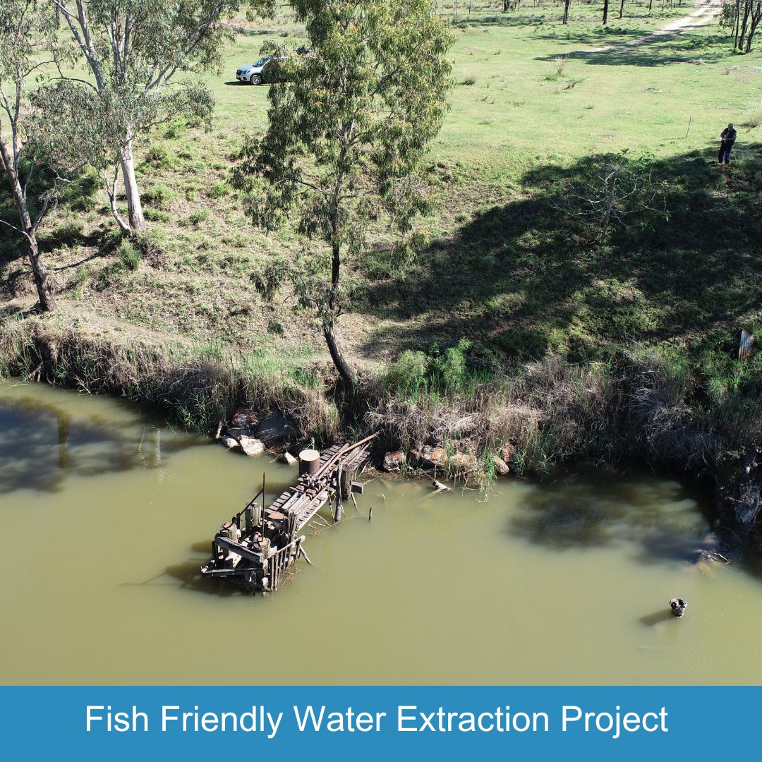 SQLandscapes's tweet image. Did you know? Traditional pumps pull thousands of fish from QLD rivers yearly—up to 9,000 in a single afternoon. 🐟

The @ausgov-funded #FishFriendly project is protecting native species, ensuring balanced habitats &amp;amp; sustainable ecosystems for all.

#ProtectOurFish #EcoSolutions