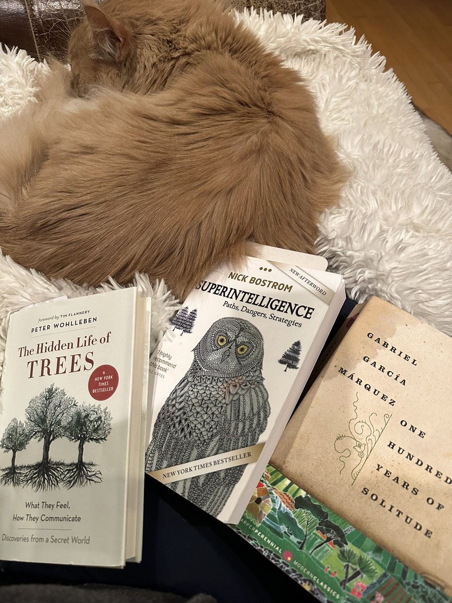 Secret worlds, superintelligence, and Solitude. (Plus a content cat)
Happy #Caturday. 

Also, stay safe out there all my winter-storm targeted friends. #WinterStorm